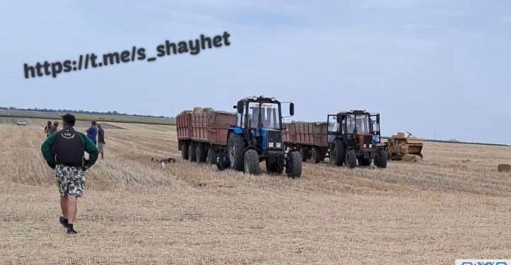 На Миколаївщині двоє людей підірвались на невідомому вибуховому пристрої на полі – один чоловік загинув, іншій в лікарні