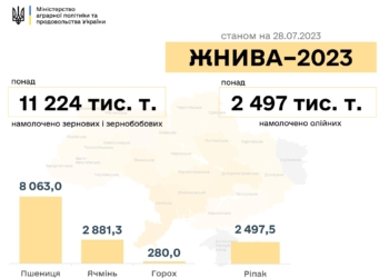 Врожай-2023: аграрії Миколаївщини та Одещини – в лідерах