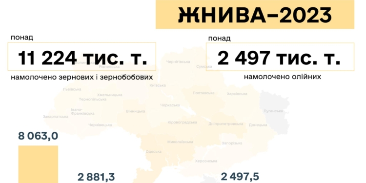 Врожай-2023: аграрії Миколаївщини та Одещини – в лідерах