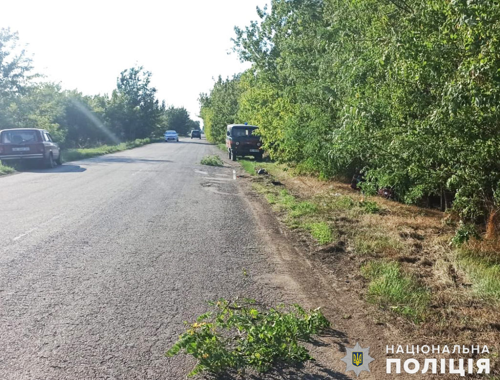 На Миколаївщині загинув водій мопеду - поліцейські встановлюють обставини ДТП (ФОТО) 2