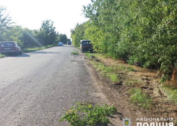 На Миколаївщині загинув водій мопеду – поліцейські встановлюють обставини ДТП (ФОТО)