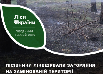 Вчора поблизу Миколаєва знов горів ліс, причому – на замінованій території