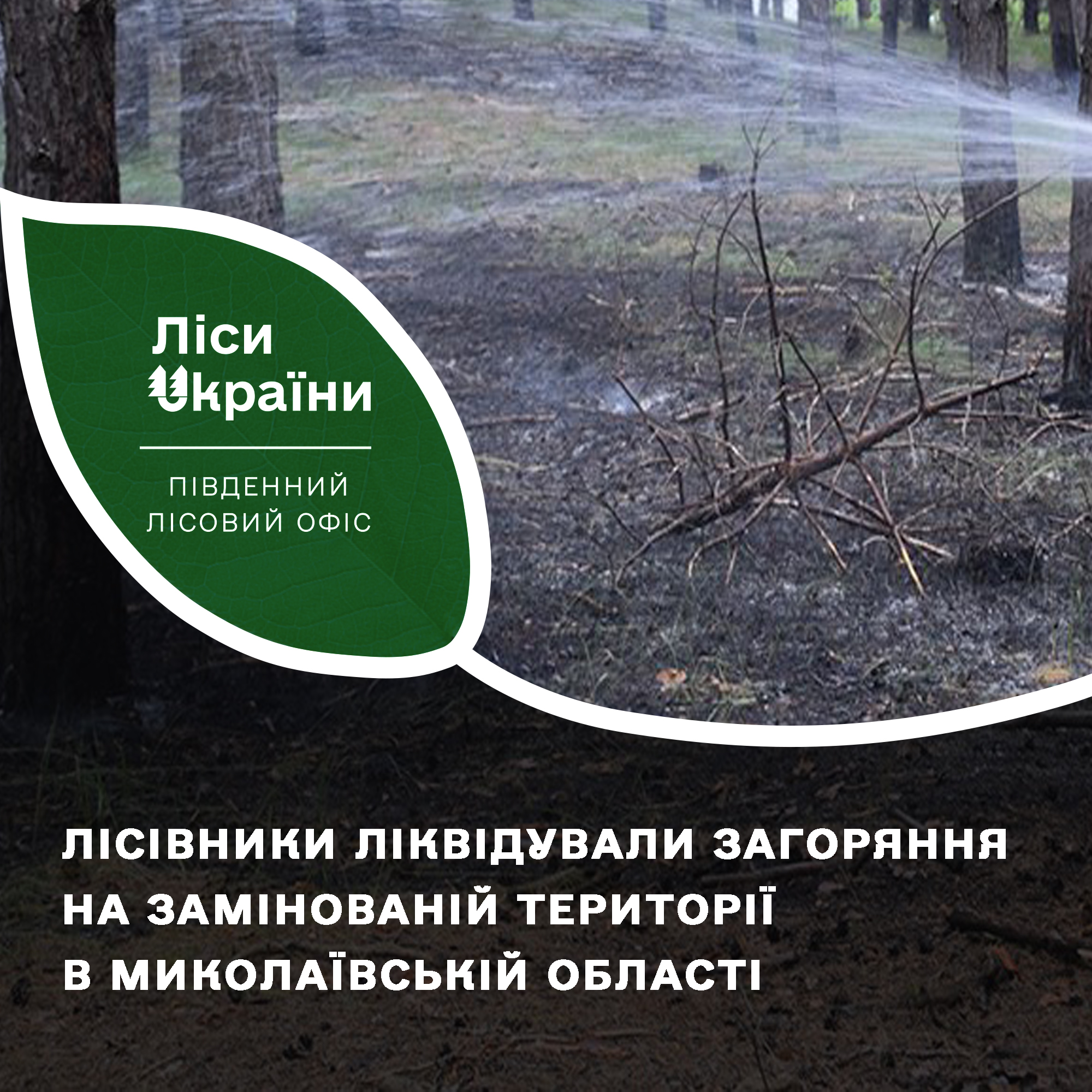 Вчора поблизу Миколаєва знов горів ліс, причому – на замінованій території