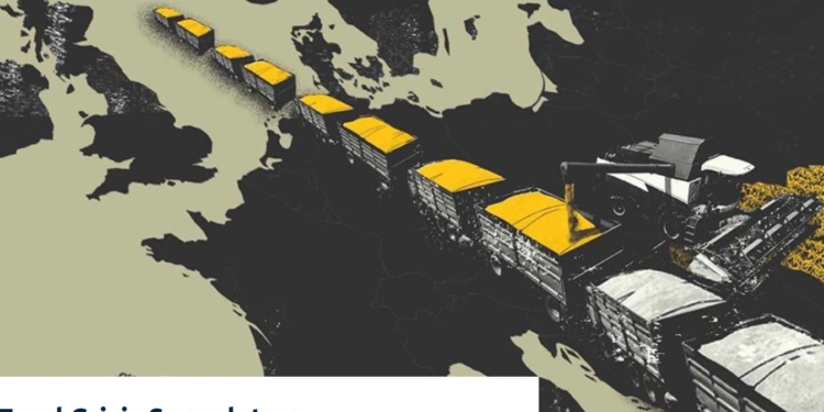 COFCO, Bunge і…”Явкинський елеватор”. Як через фірми-прокладки без податків українське зерно потрапляє в ЄС