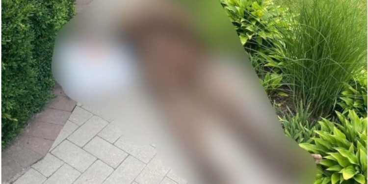 Жах. На Київщині сусід розкопав могилу і приніс покійника на подвір’я родичам. Каже – через хвилину мовчання (ФОТО, ВІДЕО)