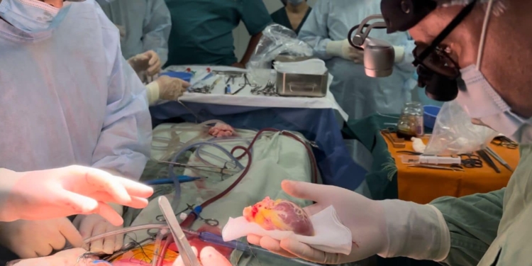 В Україні вперше 6-річній дівчинці пересадили серце загиблого хлопчика. Щемлива історія (ФОТО)