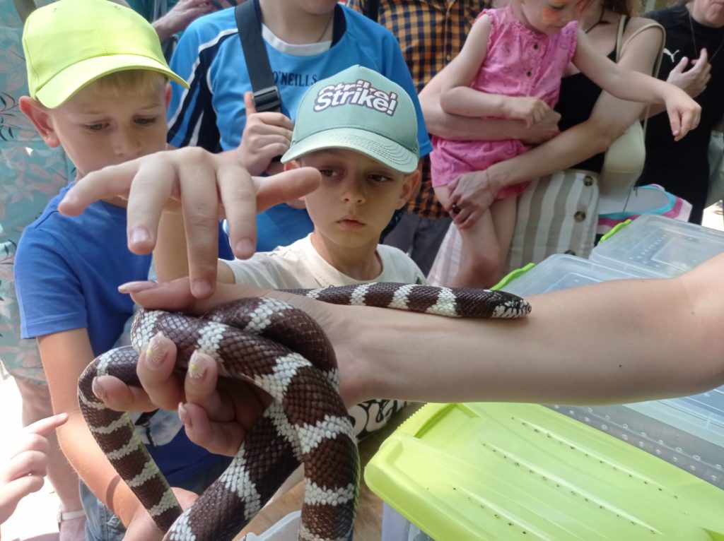 World Snake Day у Миколаївському зоопарку (ФОТО) 24