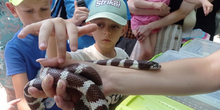 World Snake Day у Миколаївському зоопарку (ФОТО)