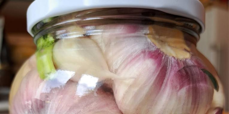 Квашений молодий часник – чудове доповнення до літніх страв. Рецепт (ФОТО)
