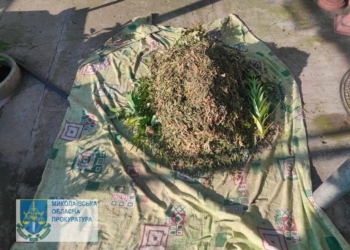 На Миколаївщині чоловік вирощував та виготовляв канабіс: у нього вилучили понад 32 кг готового «продукту» (ФОТО)