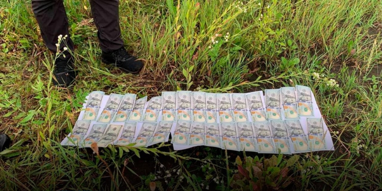 НАБУ проводить обшуки у нардепки від «Слуги народу» Марченко – за хабар у $3 тис. за незаконний дозвіл на виїзд за кордон