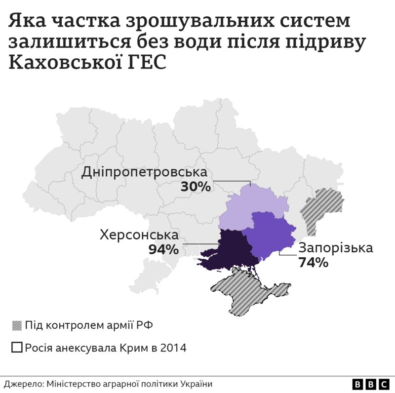 Овочі з півдня. Чи повернуться херсонські кавуни-помідори, і чому на Миколаївщині все таке дороге 4