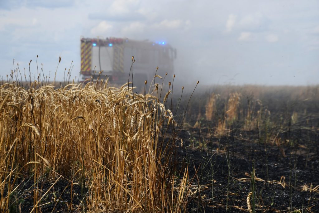 На Миколаївщині понад дві доби гасили пожежу сміттєзвалища у Луговому. Але нарешті впорались (ФОТО) 41