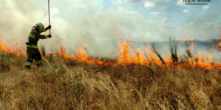 За добу на Миколаївщині вигоріло понад 23 га відкритих територій, і половина площі – пшениця на корені (ФОТО)
