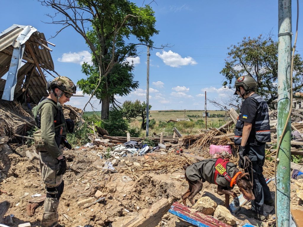 На щиті: завершилась чергова пошукова експедиція тіл загиблих героїв на Півдні (ФОТО) 6