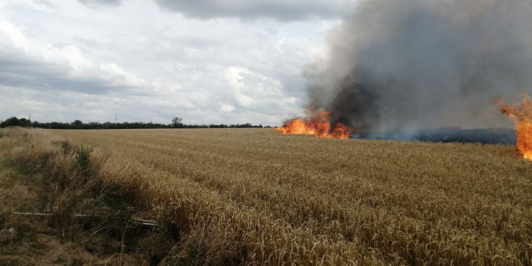 Жахливо, коли горить хліб: за добу на Миколаївщині вогнеборці загасили 10 пожеж на відкритих територіях (ФОТО)