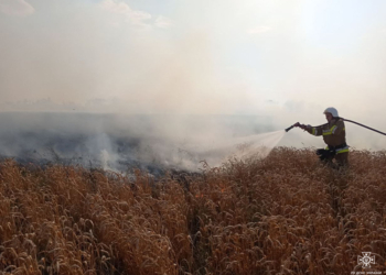 На Миколаївщині від знищення вогнем вогнеборці врятували 140 га пшениці (ФОТО)