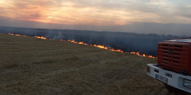 На Миколаївщині згоріло 27 га пшениці на корені. І це була тільки одна з 28 пожеж за добу (ФОТО, ВІДЕО)