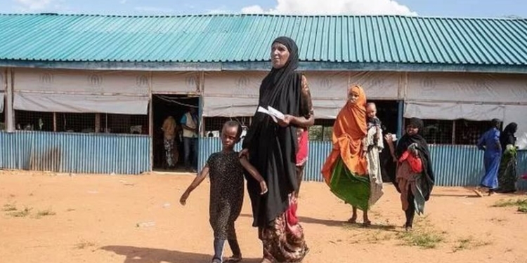 Путін готує заяву, що Росія може безплатно постачати зерно в африканські країни