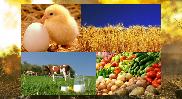 Як в Україні бачать повоєнне відродження АПК