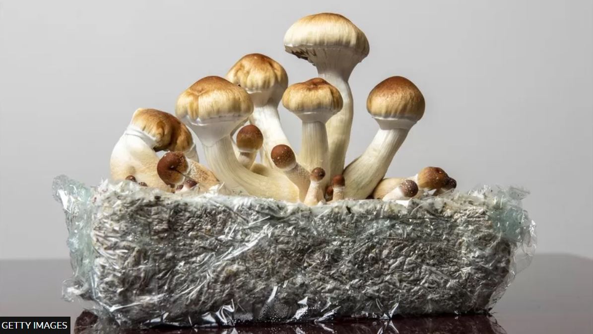 Психоделічна терапія. Австралія перша в світі дозволила лікарське використання екстезі (ФОТО)