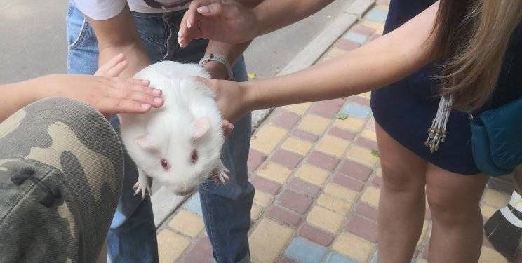 «Пухнасті реабілітологи»: Миколаївський зоопарк розпочав мобільні лекції (ФОТО)