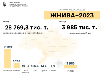 Врожай-2023: в Україні зібрано понад 28,7 млн.тонн ранніх зернових