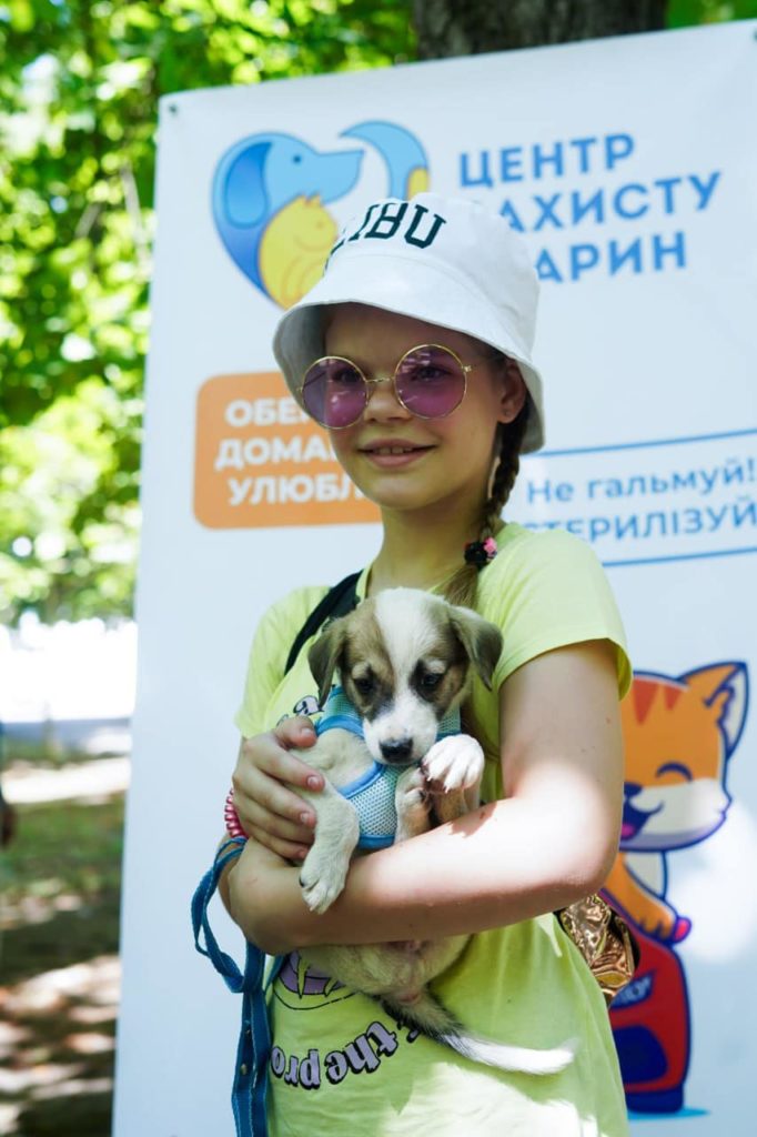 У Миколаєві на виставці-прилаштуванні нові домівки знайшли майже 50 тваринок (ФОТО) 2