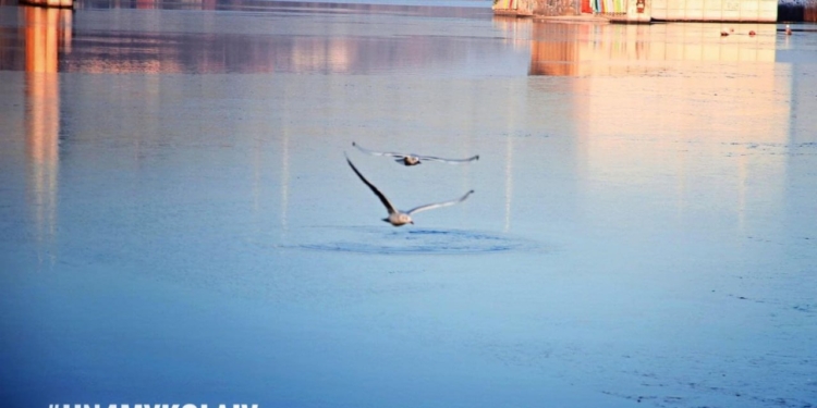 Озеленення, посилення зв’язку з річками, поліпшення якості життя людей: міжнародні експерти презентували бачення ландшафтного розвитку Миколаєва (ВІДЕО)