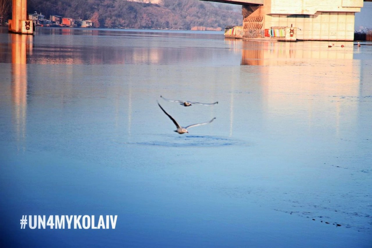 Озеленення, посилення зв’язку з річками, поліпшення якості життя людей: міжнародні експерти презентували бачення ландшафтного розвитку Миколаєва (ВІДЕО)