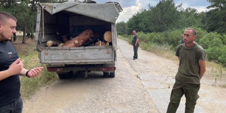 Ну, дуже «суворе» покарання: на Миколаївщині працівник лісгоспу, який напиляв машину сосен, заплатив штраф 2,5 тис.грн.