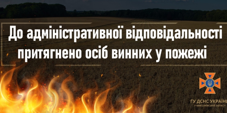 На Миколаївщині паліїв трави притягнули до адміністративної відповідальності