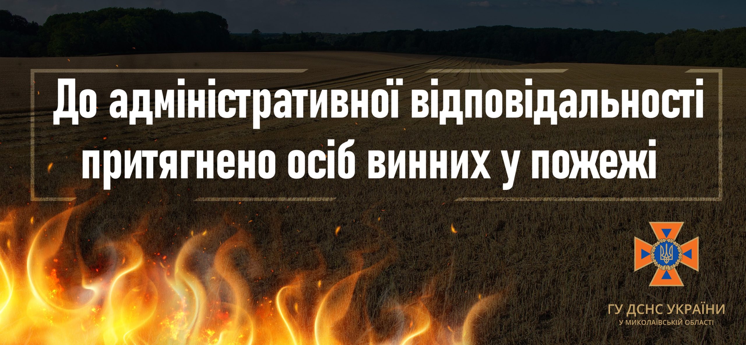 На Миколаївщині паліїв трави притягнули до адміністративної відповідальності