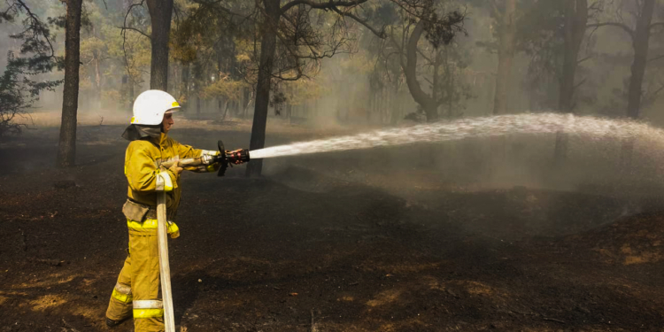 Знов горів ліс поблизу Миколаєва (ФОТО)
