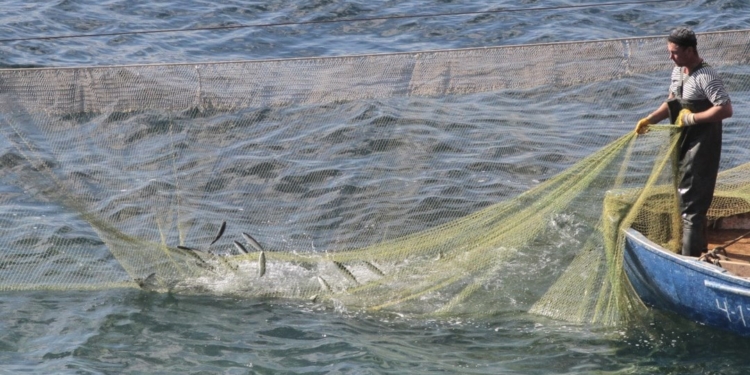 На Миколаївщині викрили кількох осіб на незаконному риболовстві