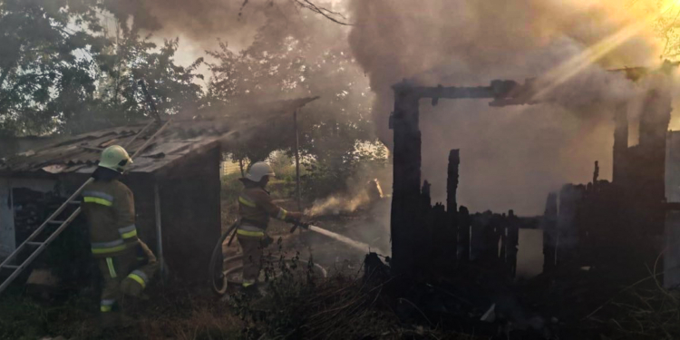 У Миколаєві через підпал горіли дерев’яні господарчі споруди на човниковій станції (ФОТО)