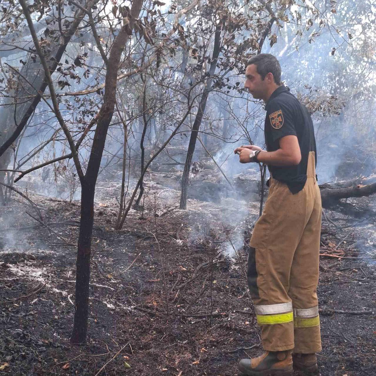 На Миколаївщині гасять низову пожежу лісу на площі 8 га