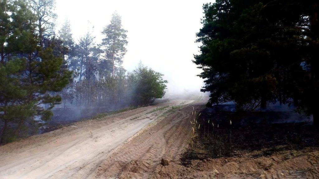 На Миколаївщині загасили масштабну лісову пожежу (ФОТО) 2