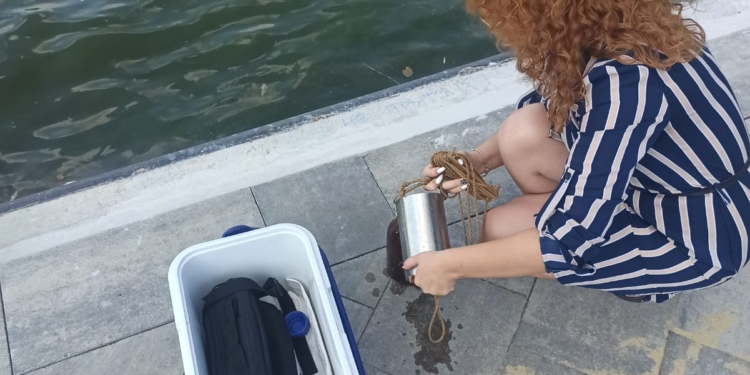 У Миколаєві виявили замор риби