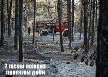 Вчора на Миколаївщині двічі горіли ліси: в одному випадку був підпал