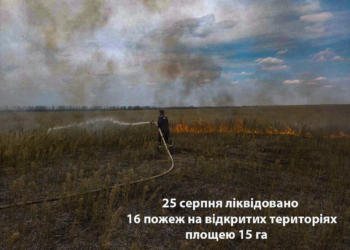 На Миколаївщині вогнеборці ліквідували 16 пожеж сухостою на загальній площі майже 15 га