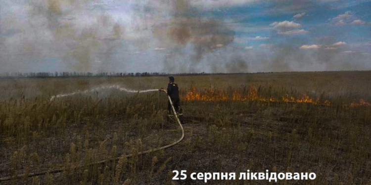 На Миколаївщині вогнеборці ліквідували 16 пожеж сухостою на загальній площі майже 15 га
