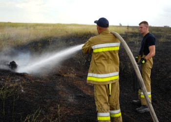 На Миколаївщині вогнеборці ліквідували 16 пожеж на відкритих територіях на загальній площі понад 20 га (ФОТО)