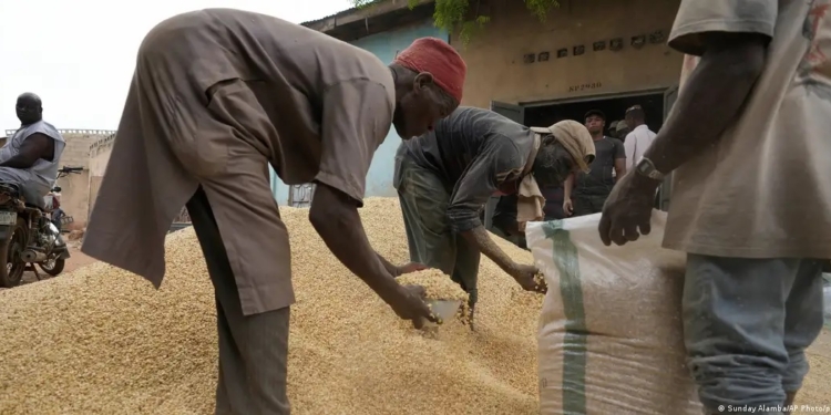 Боррель: Росія цинічно використовує продовольство як зброю