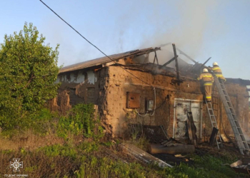 Автівка, дві пожежі в житловому секторі і 6 пожеж в екосистемах: що за добу гасили на Миколаївщині (ФОТО)