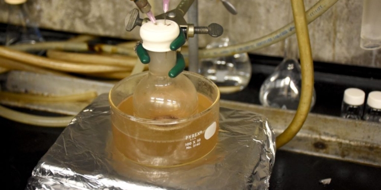 Прорив! В США навчилися переробляти пластик на мило (ФОТО)