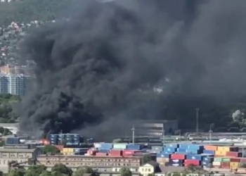 У Новоросійську велика пожежа у вантажному терміналі порту (ВІДЕО)