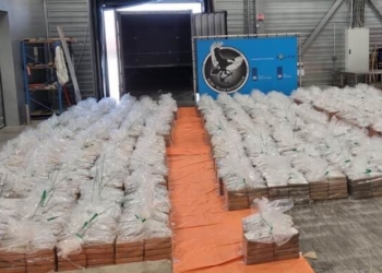 В Роттердамі виявили рекордну кількість кокаїну – 8 тонн на 600 млн. євро