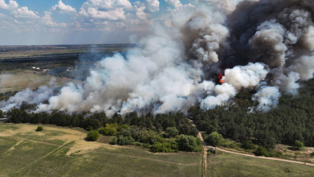 На Миколаївщині знов горить Андріївське урочище – вогонь охопив 20 га території (ФОТО) 4