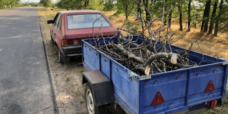 У Миколаєві затримали авто з деревиною – документів на напиляне чоловік не мав (ФОТО)